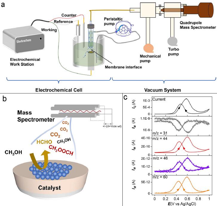 1687072062234187.jpg 图片9.jpg