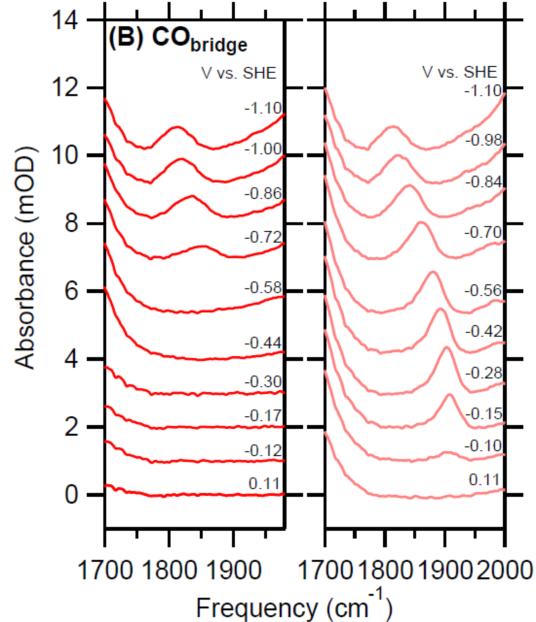 1690275045788372.jpg 图片4.jpg