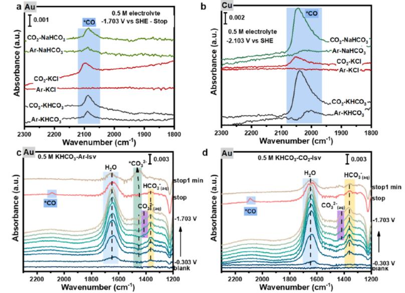 1690275260389309.jpg 图片8.jpg