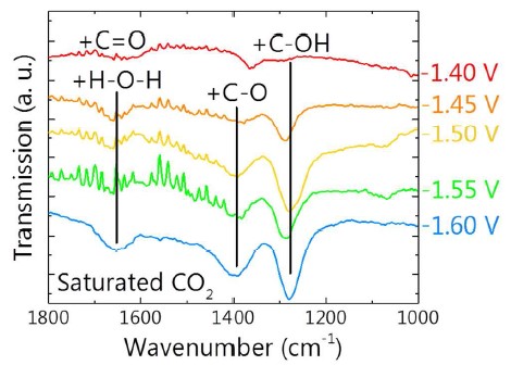 1690787582824494.jpg 1.jpg