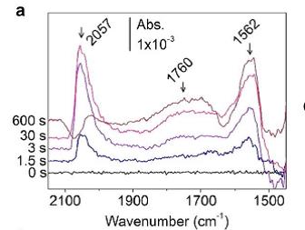 1690787798173201.jpg 2.jpg