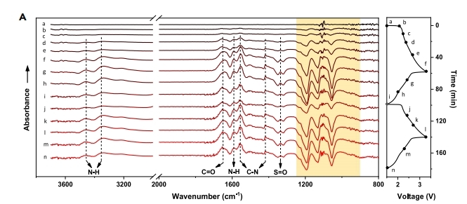 1705460791713800.jpg 图片1.jpg
