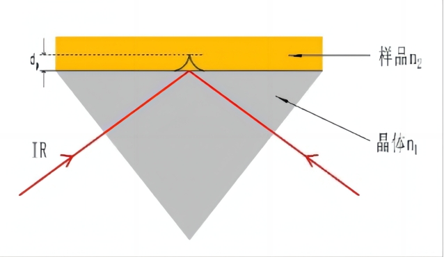 1705462302941309.jpg 1690856042.jpg