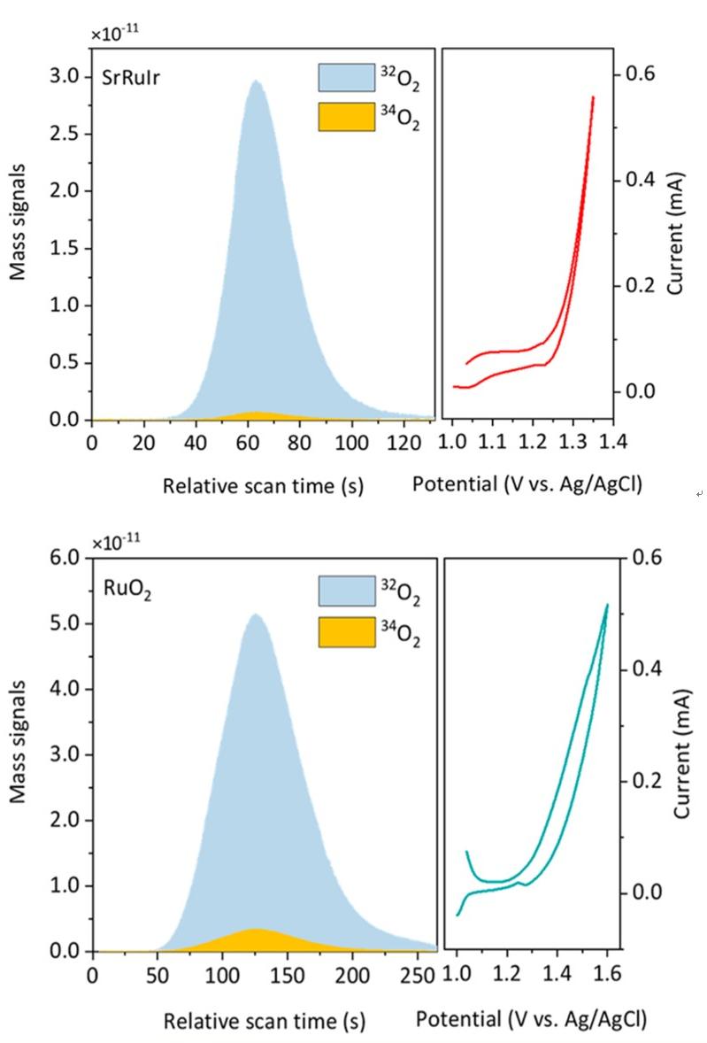 1707897729913320.jpg 新 2023-07-31 092633.jpg