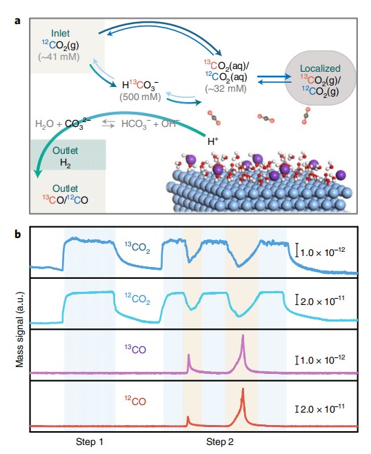 1707967230185677.jpg 屏幕截图 2024-02-15 103558.jpg