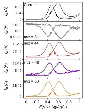 1707967673459037.jpg 图片3(1)(1).jpg