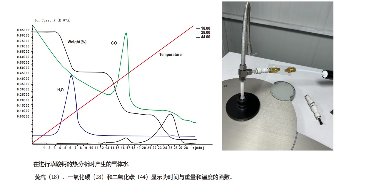 1767599407683553.jpg 2.jpg