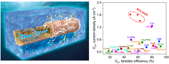海燕策略社区论坛