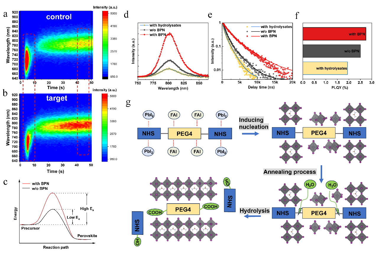 海燕策略社区论坛